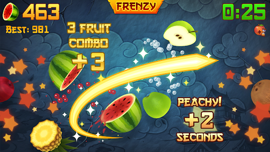 Games Fruit Ninja Unlimited Money/Stars For Android 2