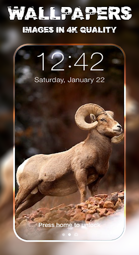 Goat Wallpapers