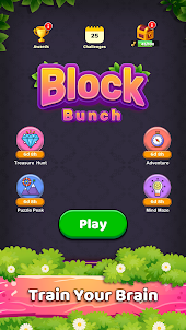 Block Bunch Puzzle Game