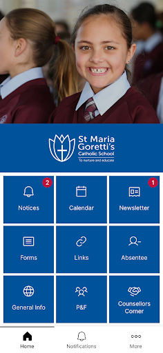 St Maria Gorettis School Screen 3