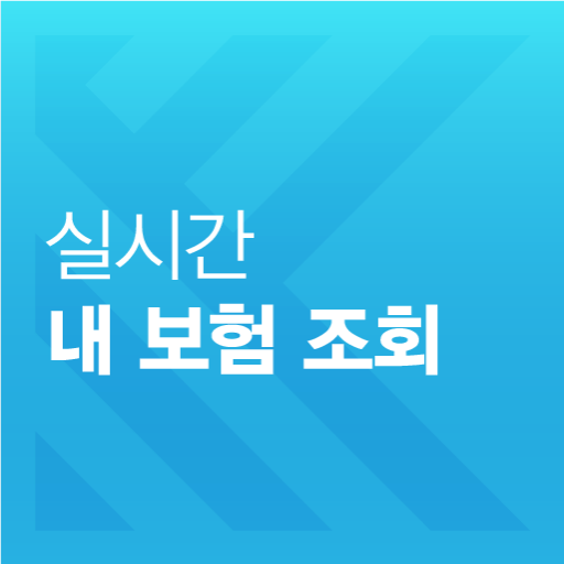 보험조회 내보험확인 logo