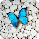 Cover Image of Download Stone Wallpapers 4K 1.09 APK