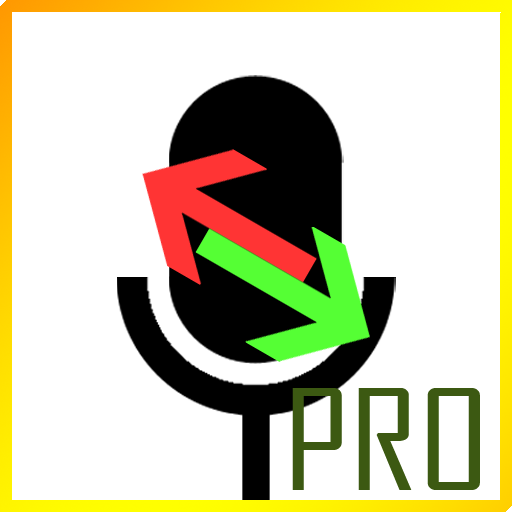 EZ Voice Reverser - Professional Edition