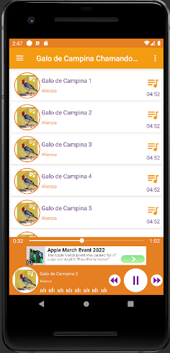 Galo de Campina Chamando Muito