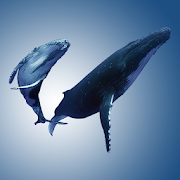 Top 20 Education Apps Like Aquatic Mammals Atlas - Best Alternatives