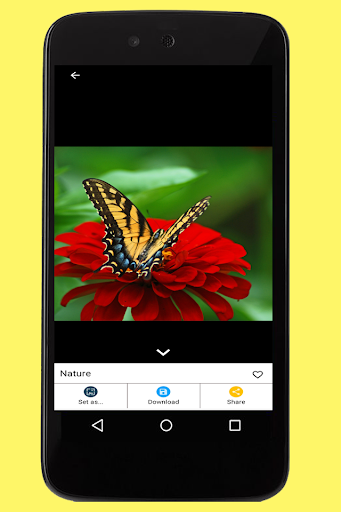 Nature Images Screen 3