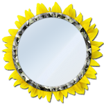 Cover Image of Download Mirror - Light, Zoom, Selfie  APK