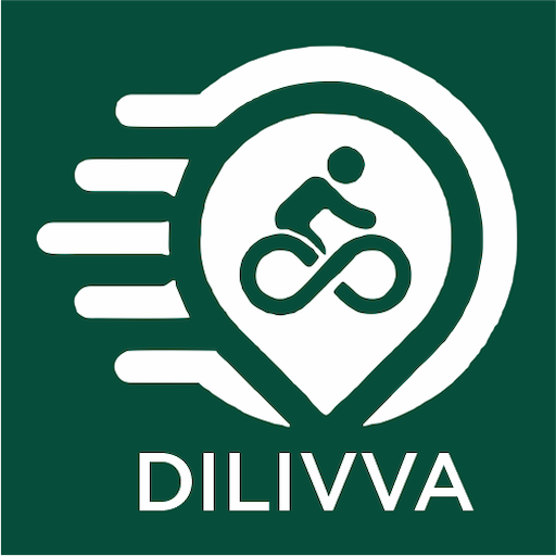 Dilivva Partner logo