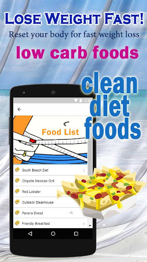 Health South Beach Diet Plan F