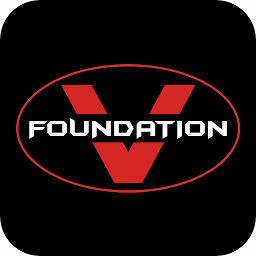 Foundation V