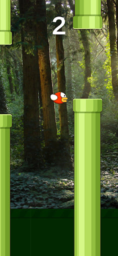 Jungle Bird Screen 2
