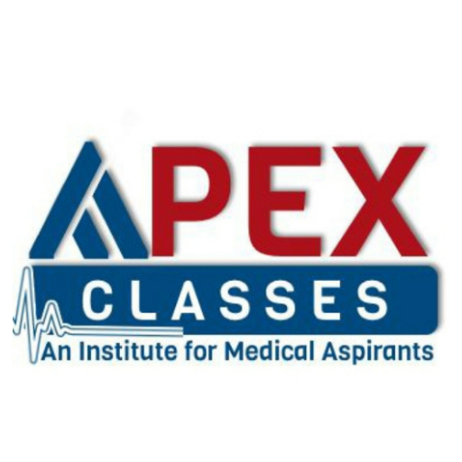 Apex Classes logo