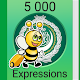 Cours d'arabe - 5000 expressions & phrases Télécharger sur Windows