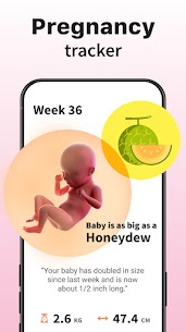 Ovulation & Period Tracker 5