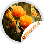 Cover Image of Download Wonderful Flowers Stickers  APK