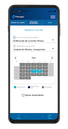 Principal® México Screen 2