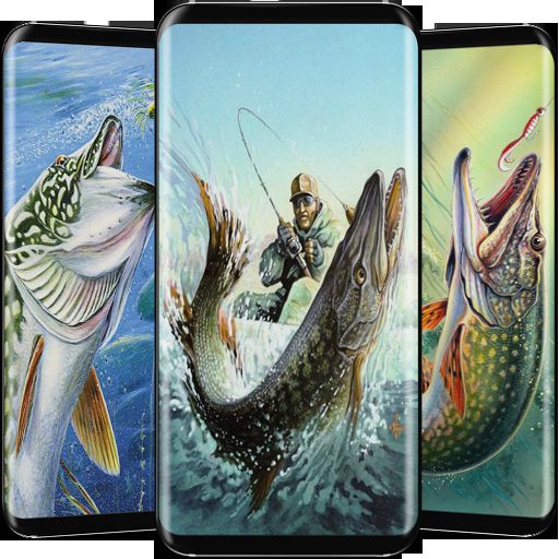 Fishing Wallpaper logo