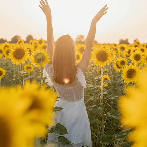 Sunflower Images Download on Windows