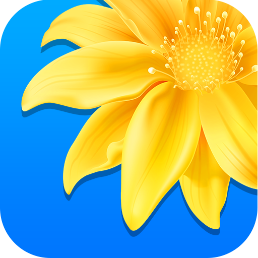 Gallery Applications Sur Google Play