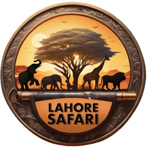 Lahore Safari