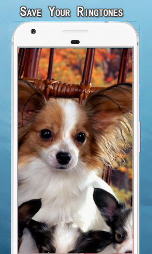 Dog Growling Sounds Ringtone Screenshot 3 - AppWisp.com