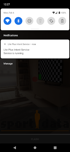 Lite Plus Intent Service Screen 2