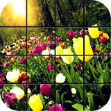 Colorful Tulips Puzzle Games icon