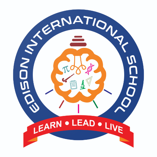 Edison International School 1.0 Icon