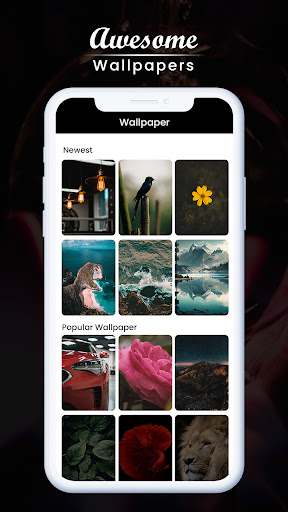 Android application 10K+ HD Wallpapers screenshort