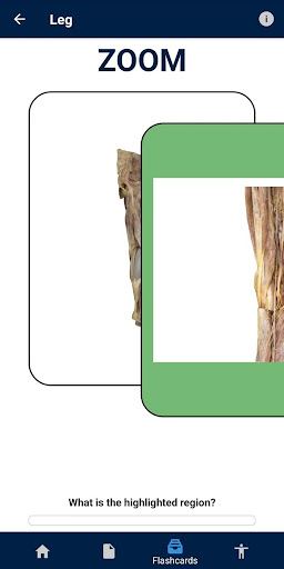 UBC Human Anatomy Teaching App Screen 3