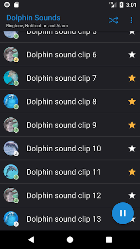 Dolphin Sounds