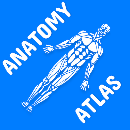 Anatomy Atlas for Students - L  Icon