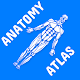 Anatomy Atlas for Students - Lite Version Windows'ta İndir