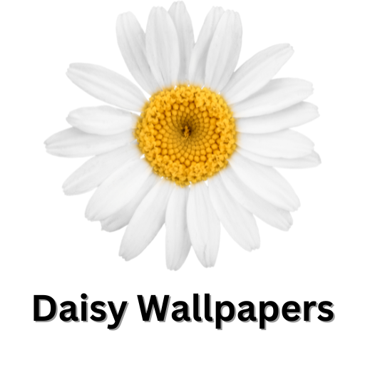 Daisy Wallpapers logo
