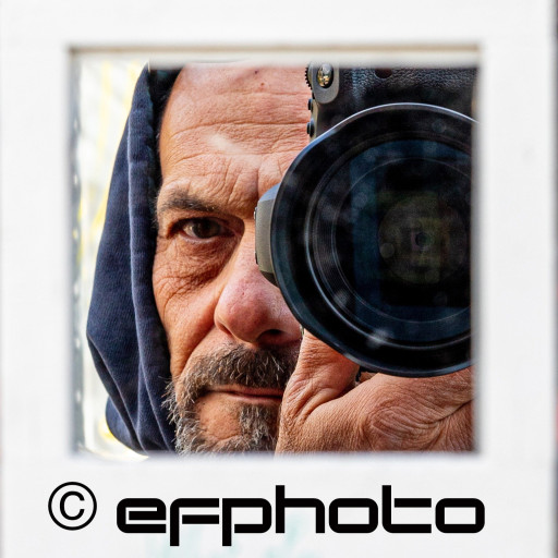 Enrico Fumagalli logo