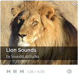 Lion Sounds icon