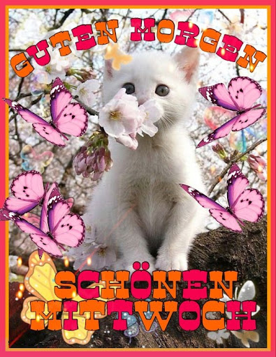 Android application Guten Morgen Mittwoch screenshort