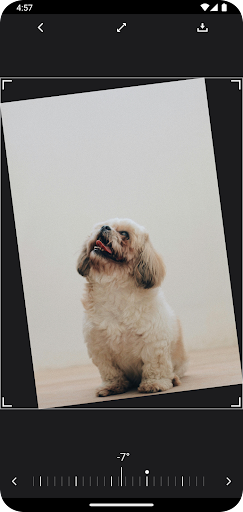 Rotate Image 360 screenshot 5