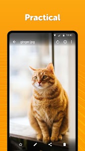 Simple Gallery Pro APK 6.27.0 for Android 4