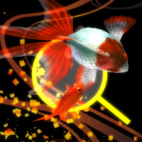 Goldfish Dream　goldfish scoop & goldfish breeding