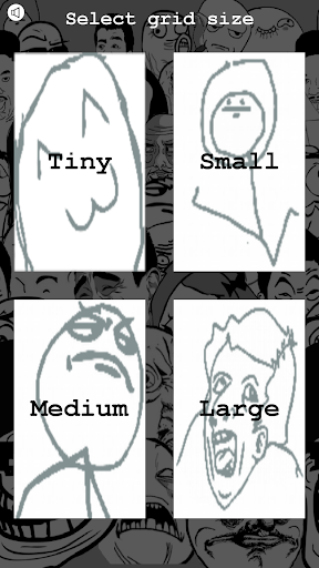 Mememory Game Screen 2