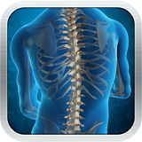 Spine Glossary icon