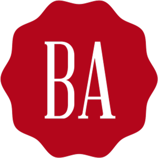 Bright Analyst - Financial An logo