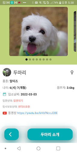 야뭉 - 반려동물 입양정보 Screen 2