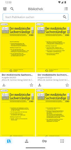 Vista previa de la aplicación