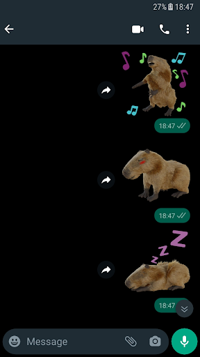 Capybara Sticker Screen 3