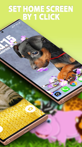 Cute Animals Wallpapers