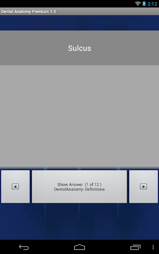 Dental Anatomy Premium