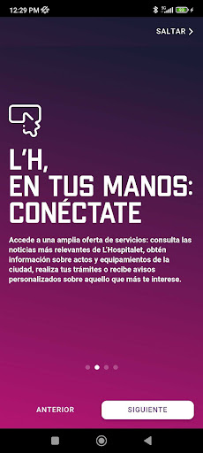 Vista previa de la aplicación