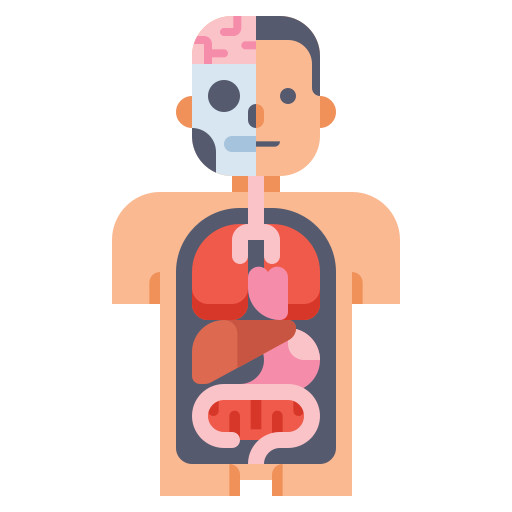 Human: Body, Parts, Organs